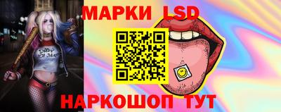 гашик Кунгур
