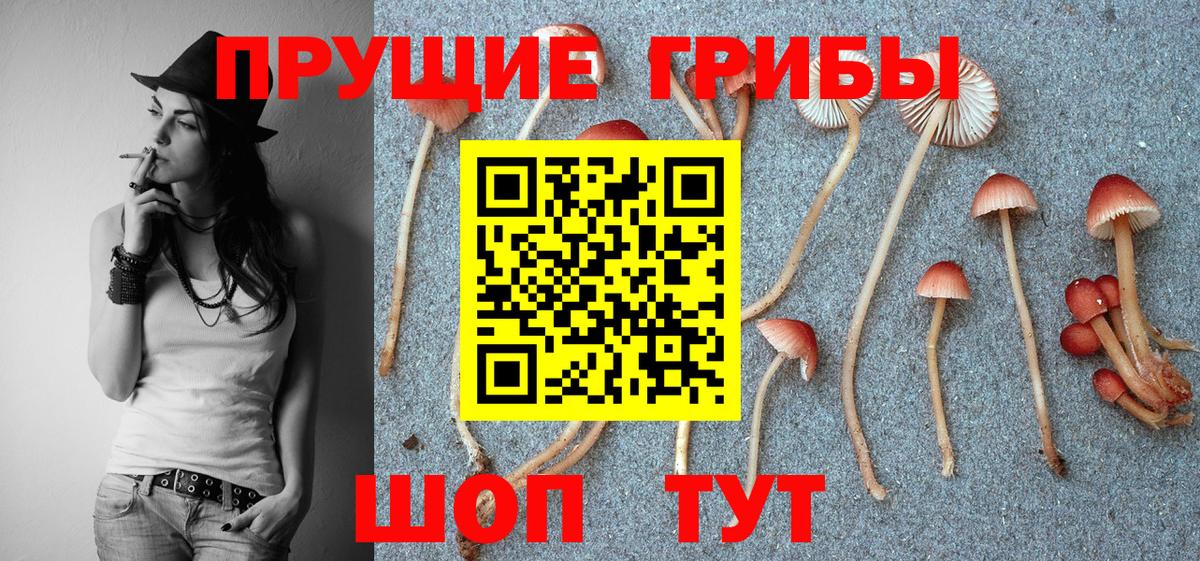 Псилоцибиновые грибы Magic Shrooms Дедовск