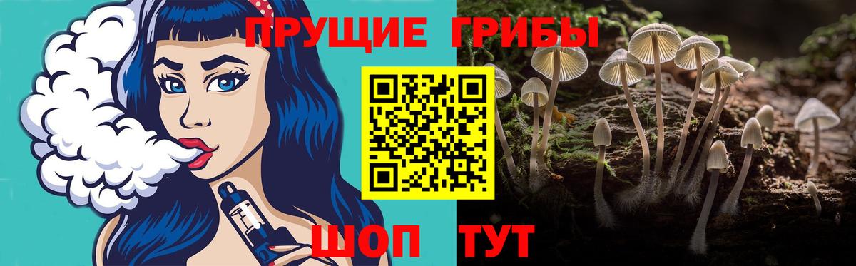 Псилоцибиновые грибы MAGIC MUSHROOMS  Псилоцибиновые грибы MAGIC MUSHROOMS  Дедовск  Вход с VPN 