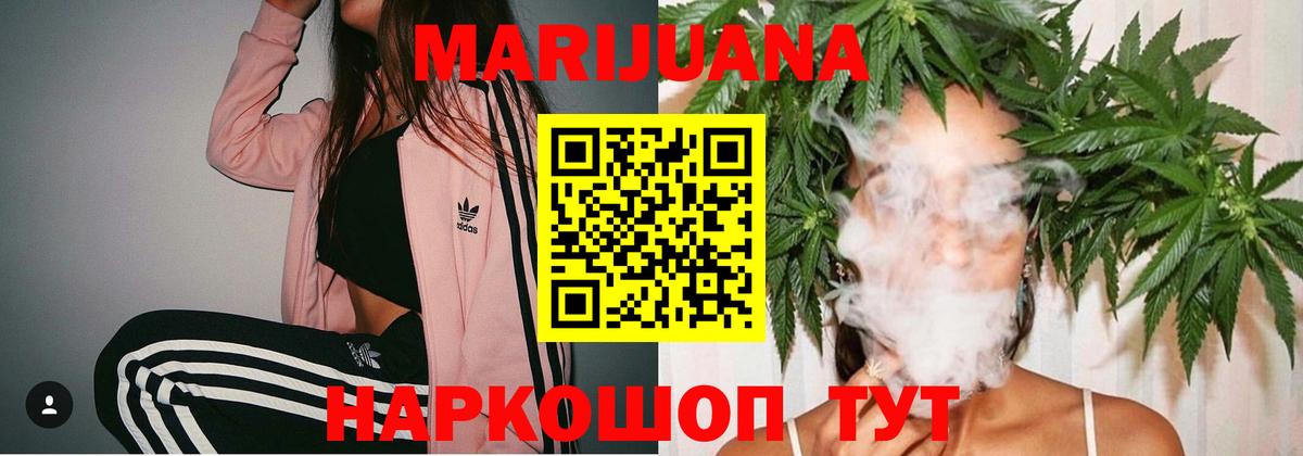 Конопля гибрид Дедовск